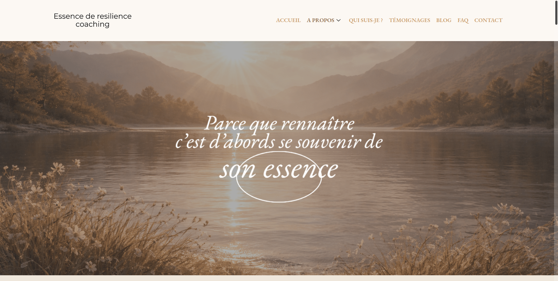 Aperçu du site Essence Résilience, client TRAFIQ