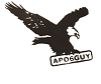 Nkongsamba Peguanto — Client TRAFIQ